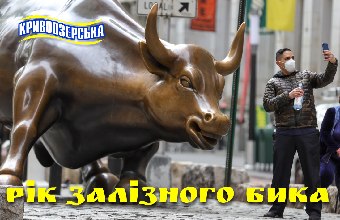 Прев'ю картинка для новини - З роком залізного Бика!